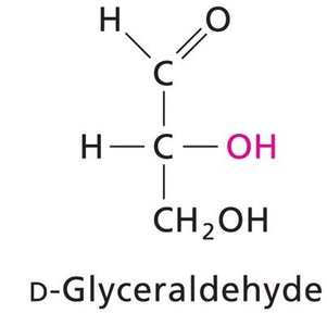 D-glyceraldehyde Fischer projection