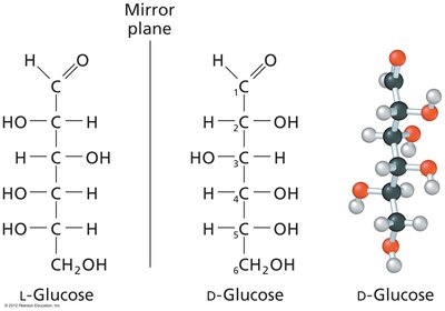 L- and D-glucose enantiomers and 3D structure