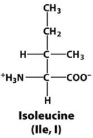 Isoleucine structure