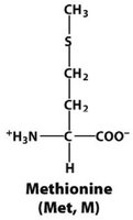 Methionine structure