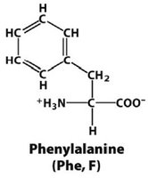 Phenylalanine structure