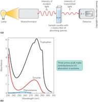Measuring absorption of a sample