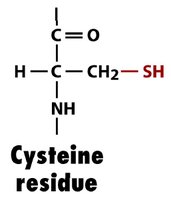 Cysteine residue structure
