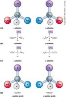L- and D-alanine structures