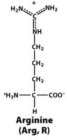 Arginine structure