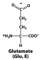 Glutamate structure