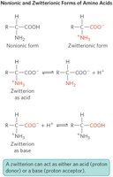 Nonionic and zwitterionic forms of amino acids