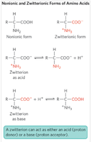 Nonionic and zwitterionic forms of amino acids