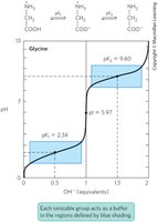 Titration curve of glycine