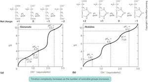 Titration curves of glutamate and histidine