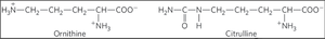Ornithine and citrulline structures
