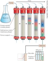 Chromatography apparatus for protein fractionation