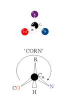 CORN rule diagram