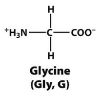 Glycine structure