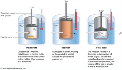 Measuring the heat of a reaction with a piston system
