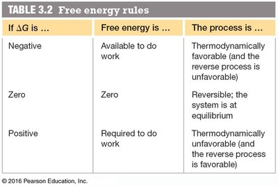 Exergonic and endergonic processes