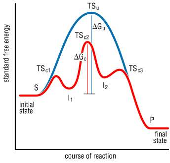Arrhenius equation and energy barrier
