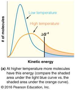 Effect of temperature on kinetic energy distribution