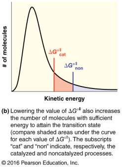 Effect of lowering activation energy on kinetic energy distribution