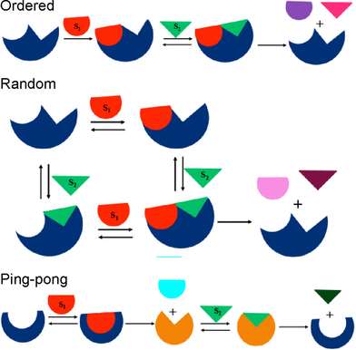 Lineweaver-Burk plot and other enzyme kinetics plots