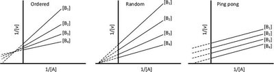 Lineweaver-Burk plots for different mechanisms