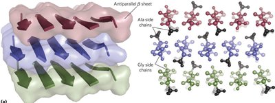 Silk fibroin molecular packing