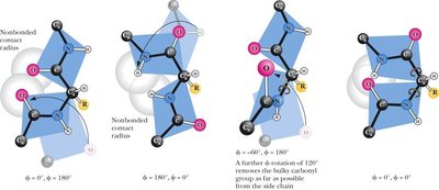 Allowed phi and psi angles