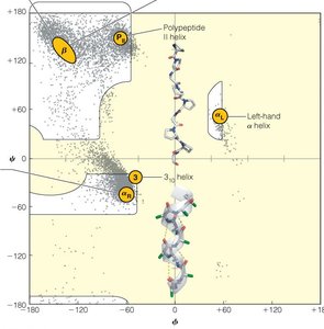 Ramachandran plot comparison