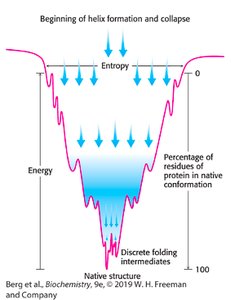 Protein folding funnel diagram