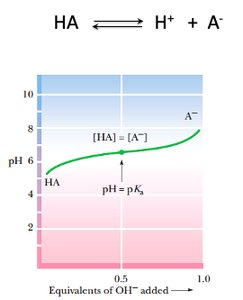 Titration curve of a monoprotic acid