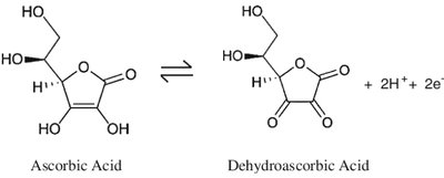 Vitamin K cycle and warfarin inhibition