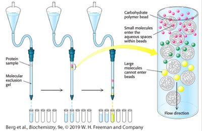 Ion exchange chromatography diagram