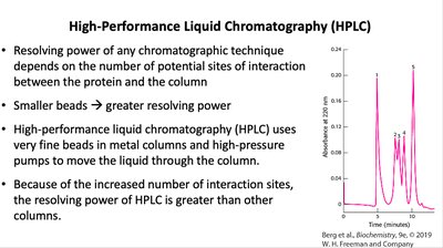 Polyacrylamide gel electrophoresis diagram