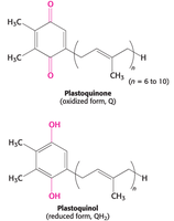 Plastoquinone and plastoquinol structures