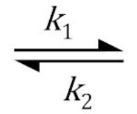 Reversible binding reaction with rate constants