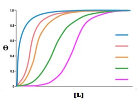 Saturation curves for different Kd values