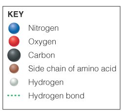 Table of hydrogen bond types