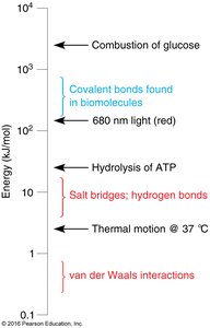Relative energies of chemical interactions
