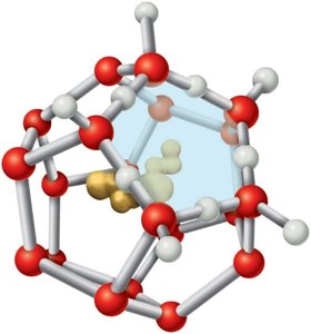 Clathrate structure around hydrophobic molecule