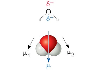 Permanent dipole in H2O