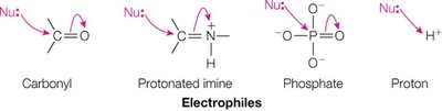 Electrophiles in biochemistry