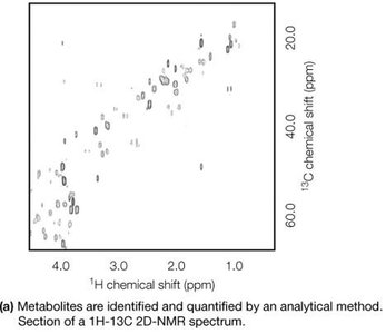 2D NMR spectrum for metabolite identification