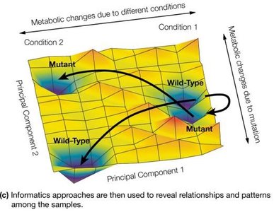 Principal component analysis of metabolic data