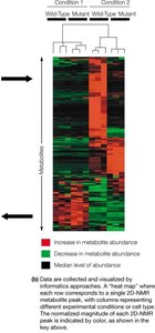 Heat map of metabolite abundance