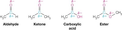 Carbonyl group examples