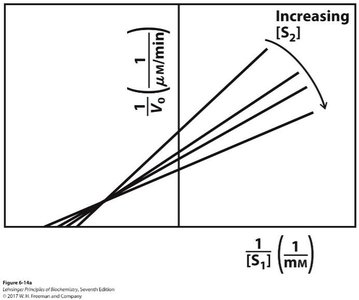 Lineweaver-Burk plot for sequential mechanism