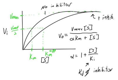 Lineweaver-Burk plot for competitive inhibition