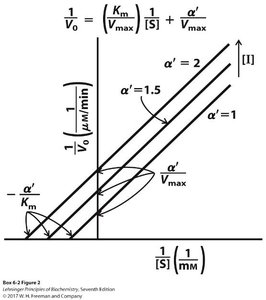 Lineweaver-Burk plot for uncompetitive inhibition