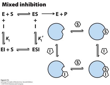 Mixed inhibition schematic
