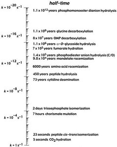 Table of rate constants and half-lives for uncatalyzed reactions